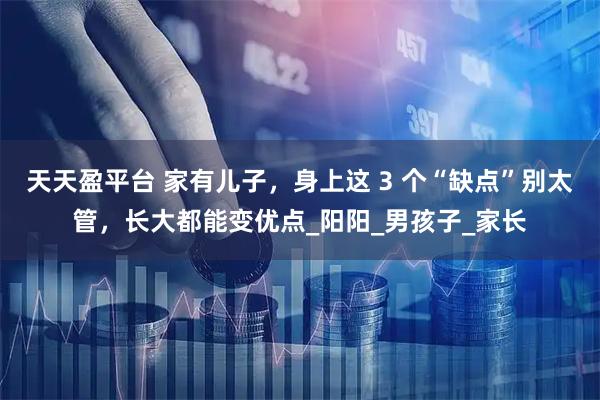 天天盈平台 家有儿子，身上这 3 个“缺点”别太管，长大都能变优点_阳阳_男孩子_家长