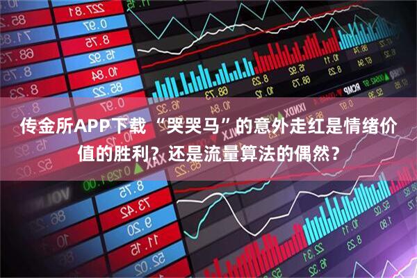 传金所APP下载 “哭哭马”的意外走红是情绪价值的胜利？还是流量算法的偶然？