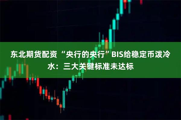 东北期货配资 “央行的央行”BIS给稳定币泼冷水：三大关键标准未达标