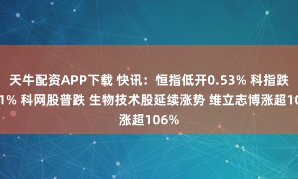 天牛配资APP下载 快讯：恒指低开0.53% 科指跌0.51% 科网股普跌 生物技术股延续涨势 维立志博涨超106%