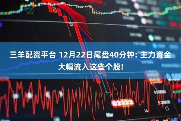 三羊配资平台 12月22日尾盘40分钟: 主力资金大幅流入这些个股!