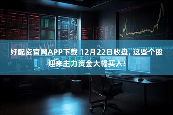 好配资官网APP下载 12月22日收盘, 这些个股迎来主力资金大幅买入!