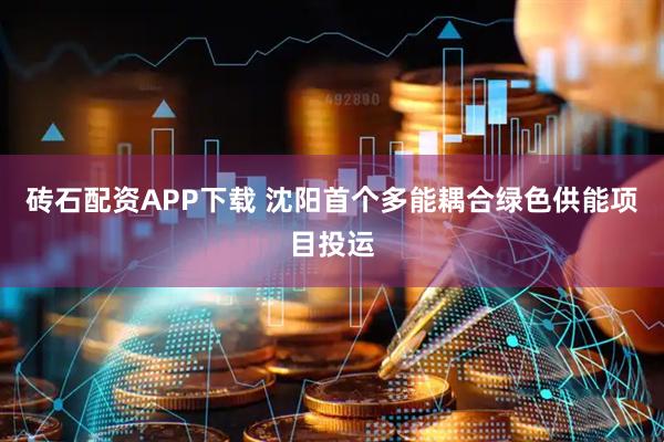 砖石配资APP下载 沈阳首个多能耦合绿色供能项目投运